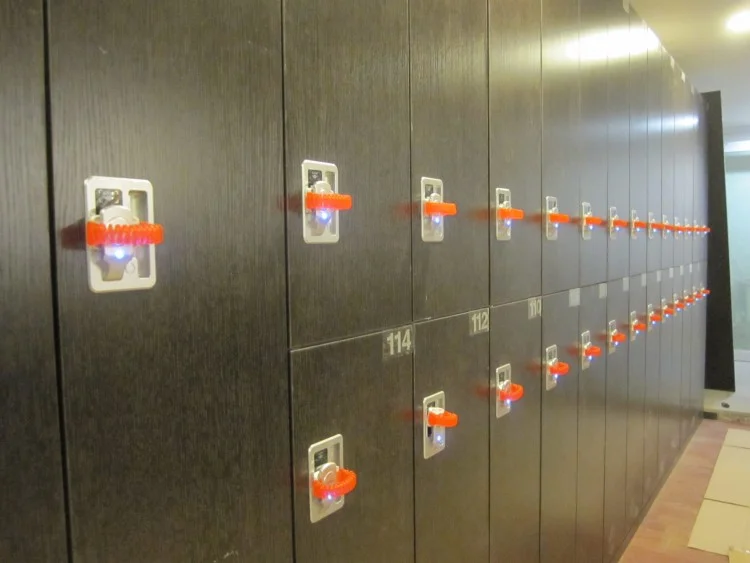 비스코휘트니스